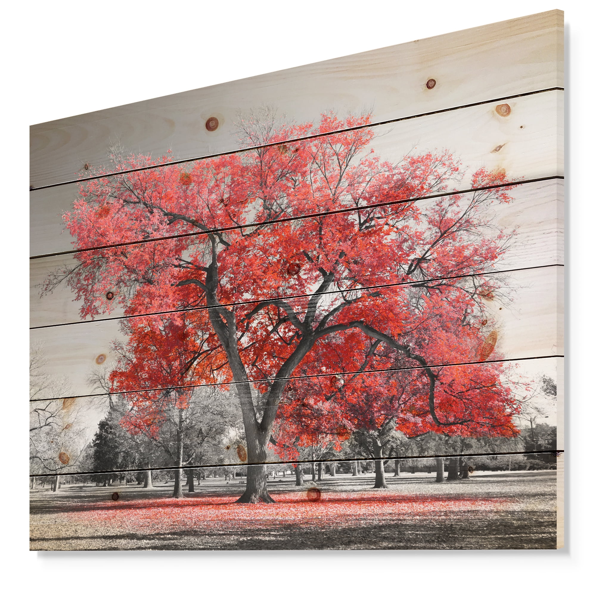 Designart 'Big Red Tree on Foggy Day ' Landscape Print on Natural Pine Wood