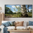 thumbnail image 1 of Designart "Birch Tree Forest Nature's Essence III" Extra Large Landscapes Framed Wall Art - Country Green Tree Bedroom Framed Canvas Wall Art, 1 of 7