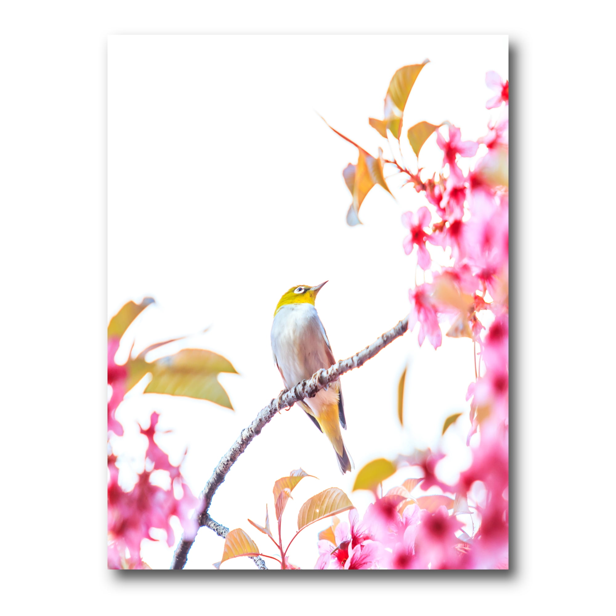 Designart ' Bird Sitting On Cherry Blossom ' Traditional Canvas Wall Art Print