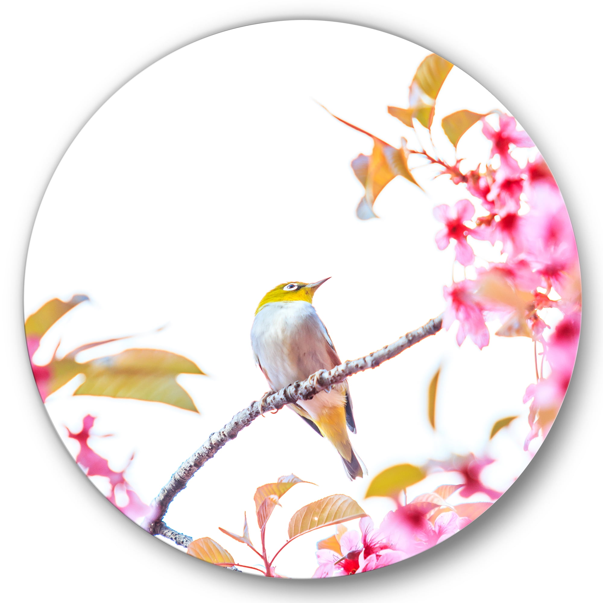 Designart 'Bird Sitting On Cherry Blossom' Traditional Circle Metal Wall Art 29x29 - Disc of 29