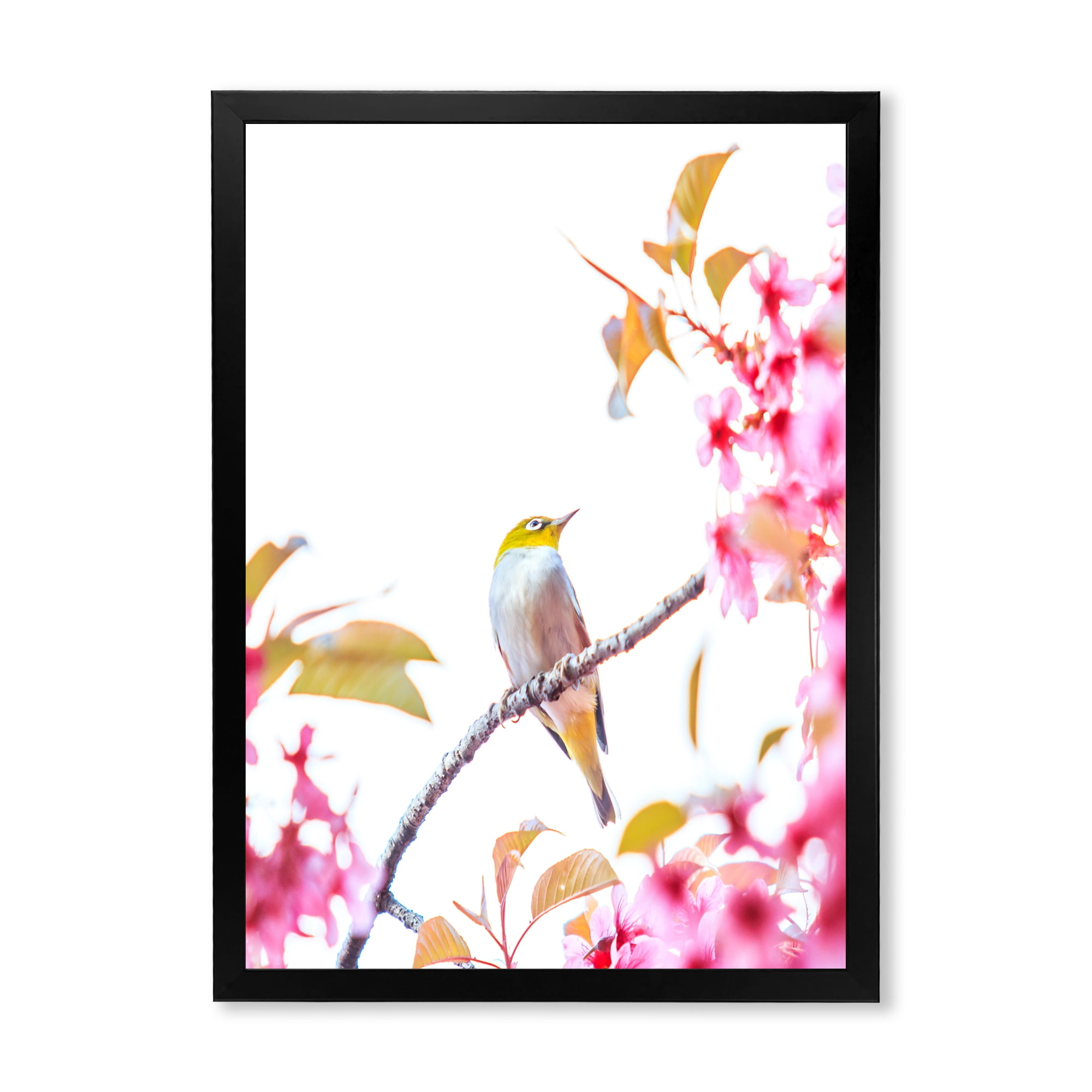Designart 'Bird Sitting On Cherry Blossom' Traditional Framed Art Print