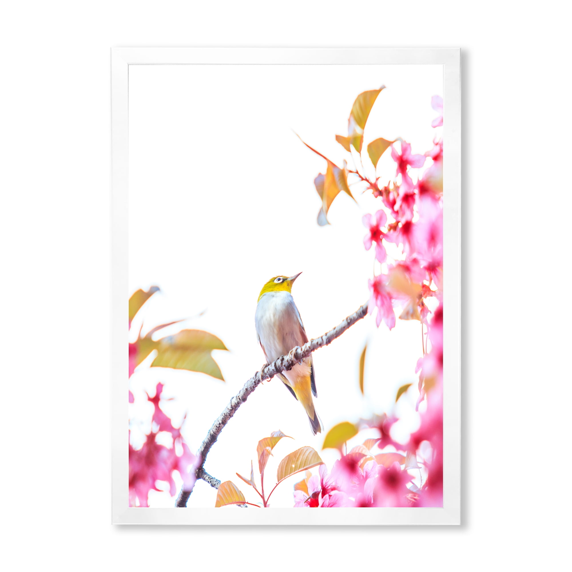 Designart 'Bird Sitting On Cherry Blossom' Traditional Framed Art Print