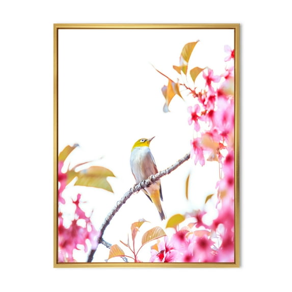Designart 'Bird Sitting On Cherry Blossom' Traditional Framed Canvas Wall Art Print