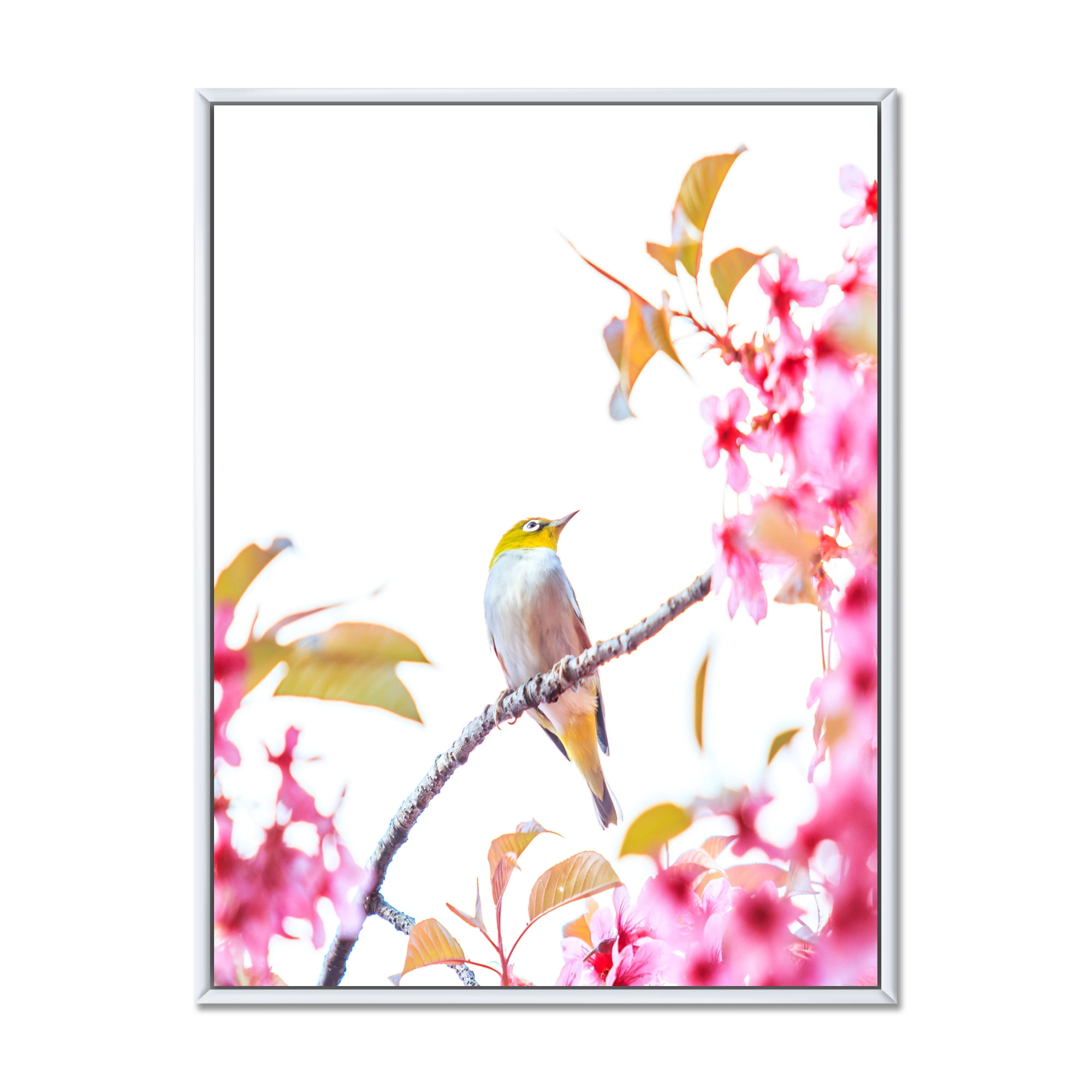 Designart 'Bird Sitting On Cherry Blossom' Traditional Framed Canvas Wall Art Print