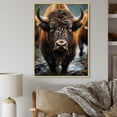 thumbnail image 1 of Designart "Bison Country Snapshot" Animals Floater Framed Canvas Print, 1 of 1