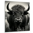 thumbnail image 1 of Designart "Bison Pasture Feasting" Animals Bison Metal Wall Decor, 1 of 1
