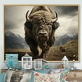 thumbnail image 1 of Designart "Bison Portrait III" Animals Floater Framed Canvas Art Print, 1 of 7