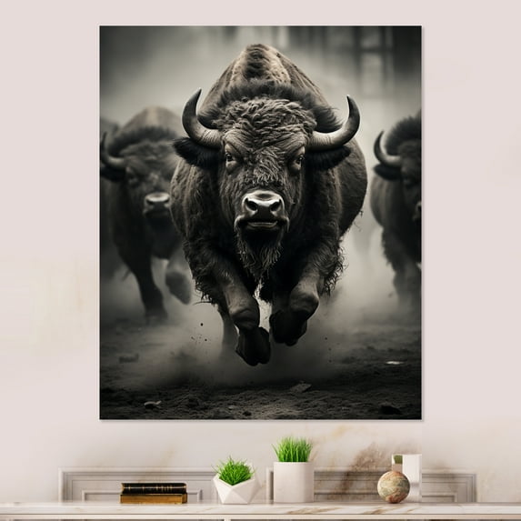 Designart "Bison euphony In Motion" Animals Bison Metal Wall Decor