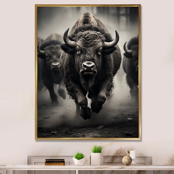 Designart "Bison euphony In Motion" Animals Floater Framed Canvas Print