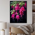 thumbnail image 1 of Designart "Black And Pink Blooms Of Fuchsia Flowers" Fuschia Floater Framed Canvas Prints, 1 of 5