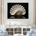 thumbnail image 1 of Designart "Black And White Clam In Dark Sea" Clam Floater Framed Wall Art Living Room, 1 of 5