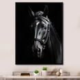 thumbnail image 1 of Designart "Black And White Horse gracefulness" Animals Floater Framed Canvas Art Print, 1 of 7