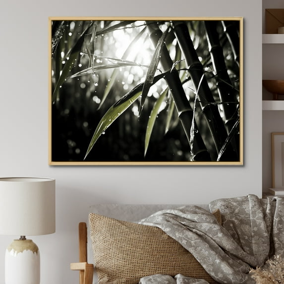 Designart "Black And White Photo Of Bamboo" Bamboo Floater Framed Wall Art Prints