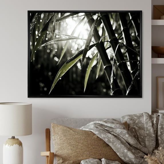 Designart "Black And White Photo Of Bamboo" Bamboo Floater Framed Wall Art Prints