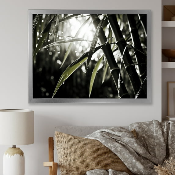 Designart "Black And White Photo Of Bamboo" Bamboo Picture Framed Wall Art Prints