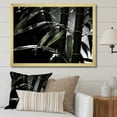 thumbnail image 1 of Designart "Black And White Photo Of Bamboo I" Bamboo Picture Framed Wall Art Living Room, 1 of 5