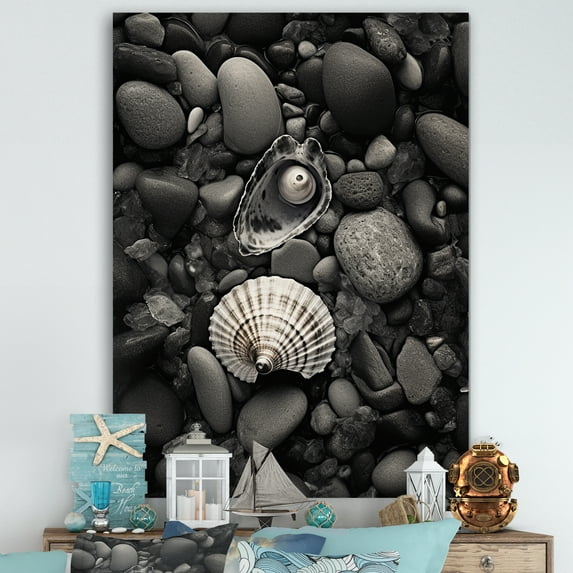 Designart "Black And White Shells And Pebbles" Seashell Canvas Art Print