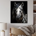 thumbnail image 1 of Designart "Black Horse White Serenity I" Animals Floater Framed Canvas Print, 1 of 7