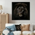 thumbnail image 1 of Designart "Black Lion Midnight Majesty" Animals Framed Wall Art Decor - Modern Black Lion Entryway Framed Wall Art, 1 of 6