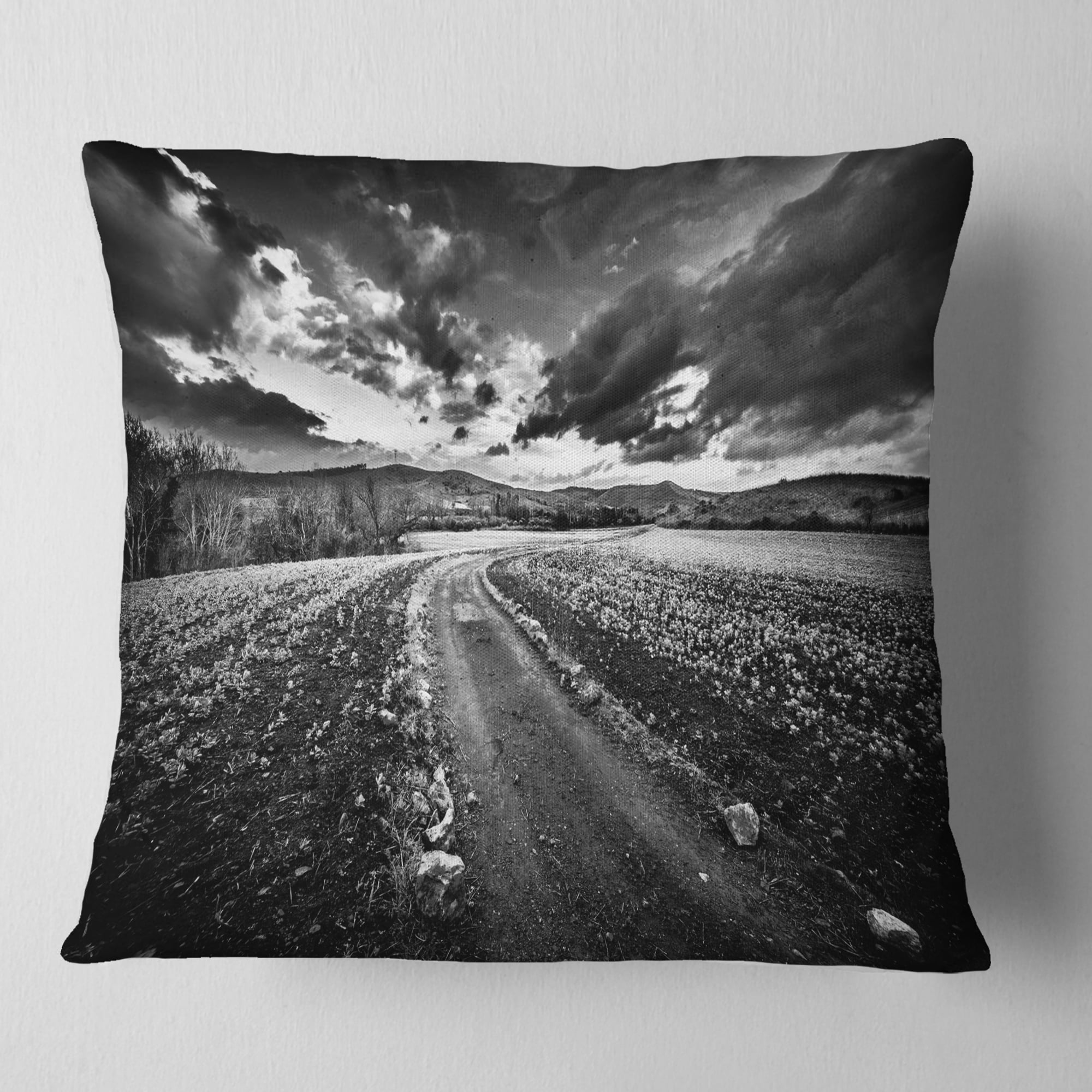 Designart Black White Landscape from Sardinia - Landscape Printed Throw Pillow - 18x18