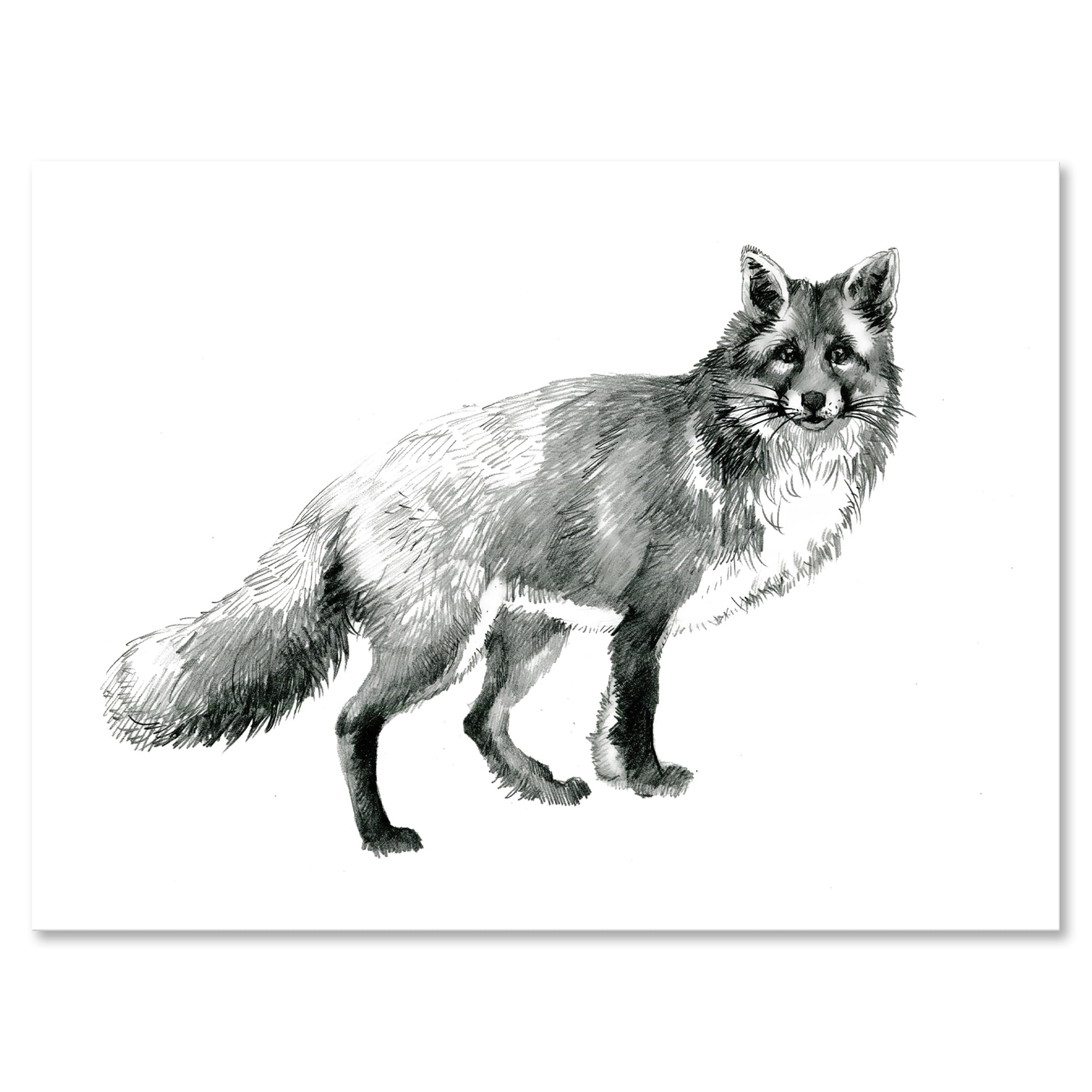 Designart ' Black and White Portrait Fox ' Farmhouse Canvas Wall Art Print