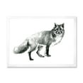 thumbnail image 1 of Designart 'Black and White Portrait Fox' Farmhouse Framed Art Print, 1 of 4
