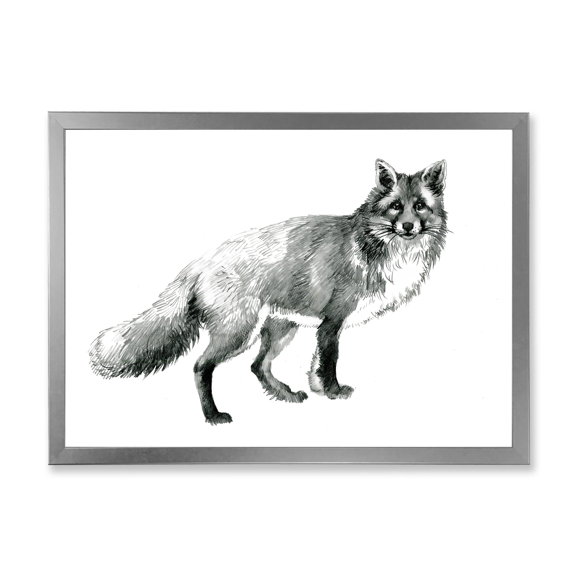 Designart 'Black and White Portrait Fox' Farmhouse Framed Art Print