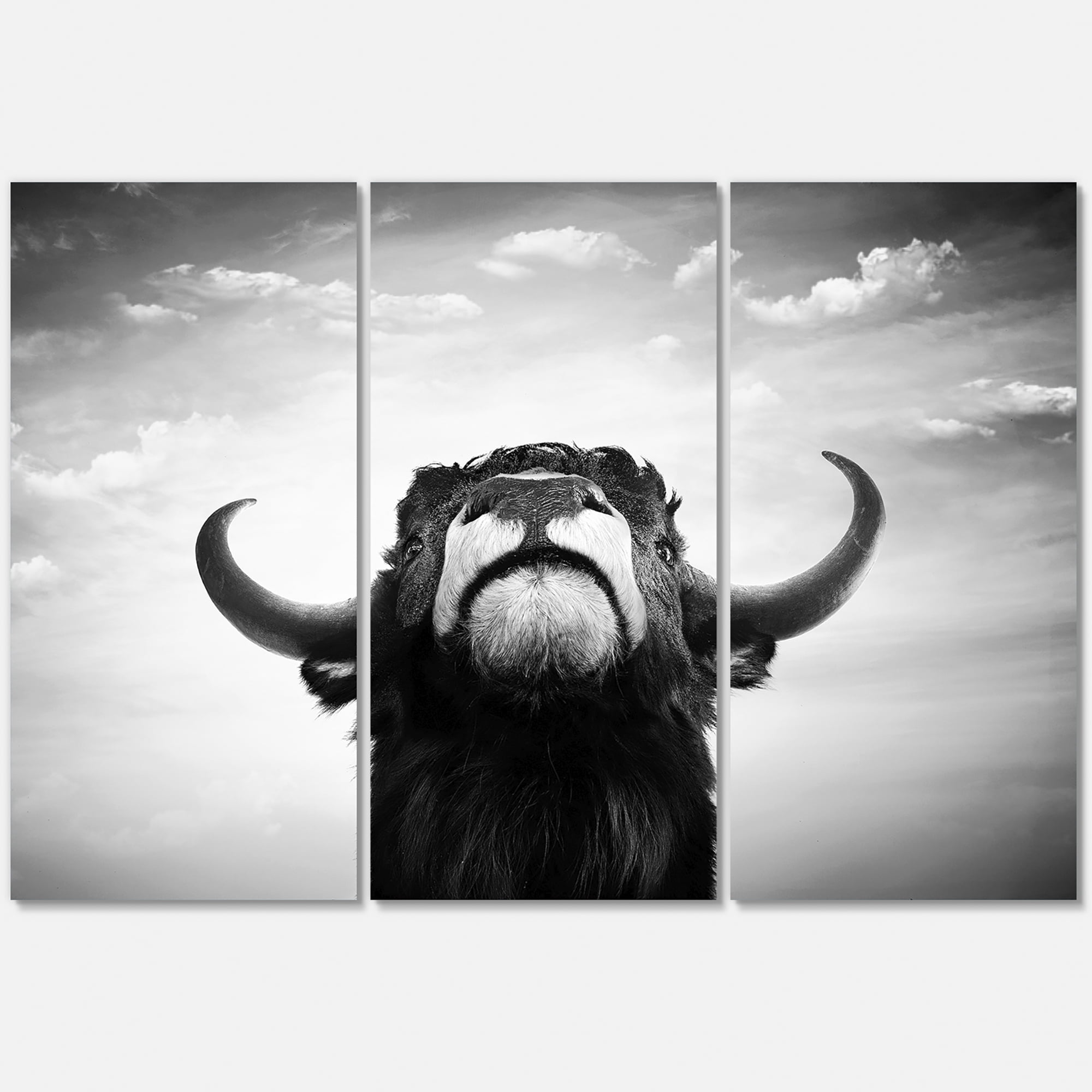 Designart ' Black and White Portrait Of A Spanish Bull I ' Farmhouse Canvas Wall Art Print