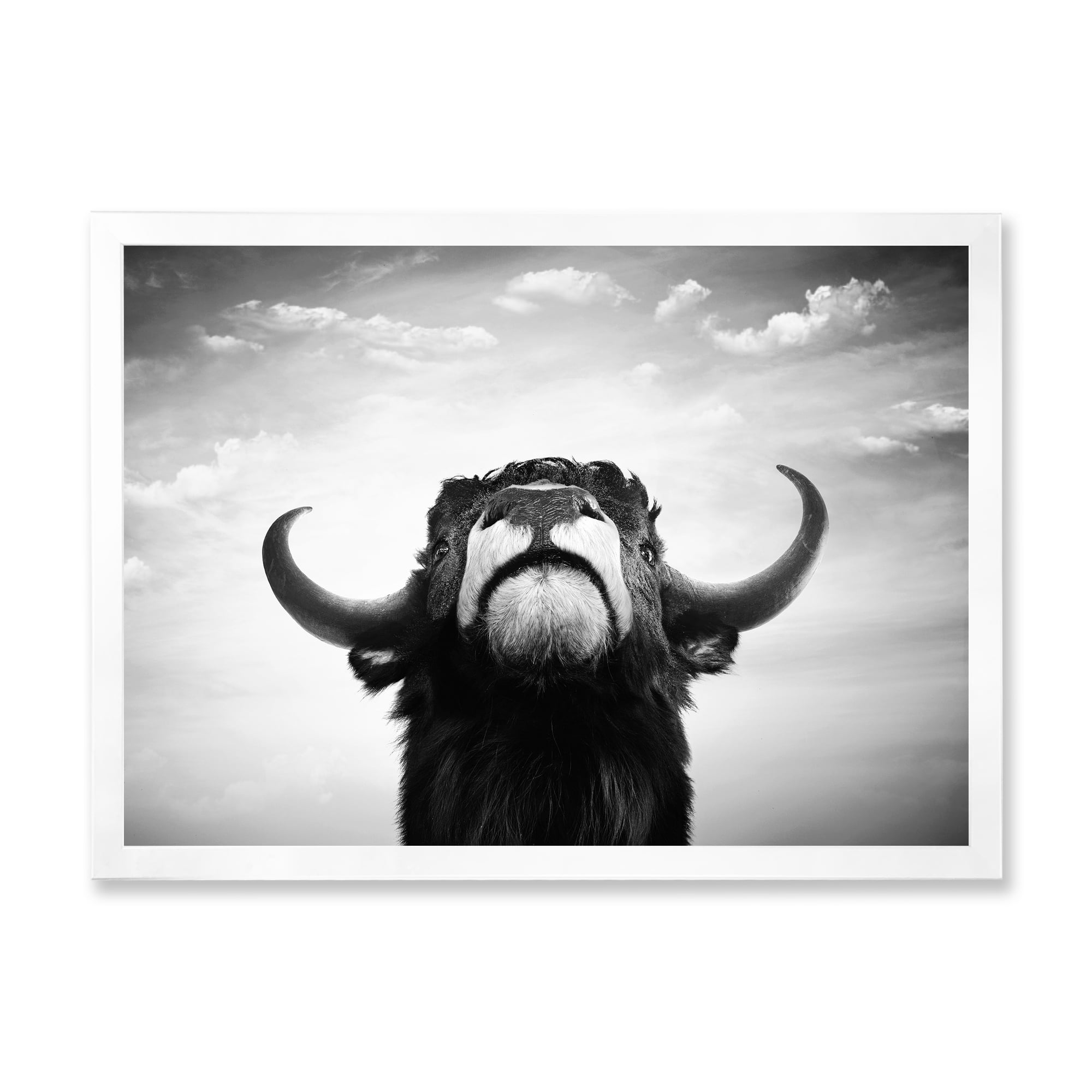 Designart 'Black and White Portrait Of A Spanish Bull I' Farmhouse Framed Art Print