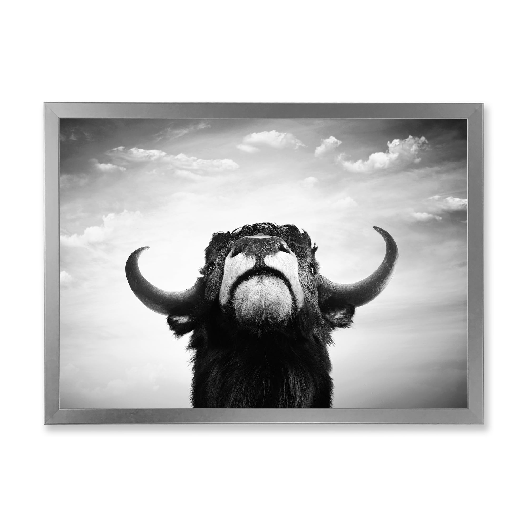 Designart 'Black and White Portrait Of A Spanish Bull I' Farmhouse Framed Art Print