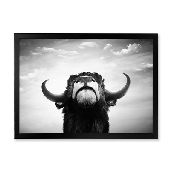 Designart 'Black and White Portrait Of A Spanish Bull I' Farmhouse Framed Art Print