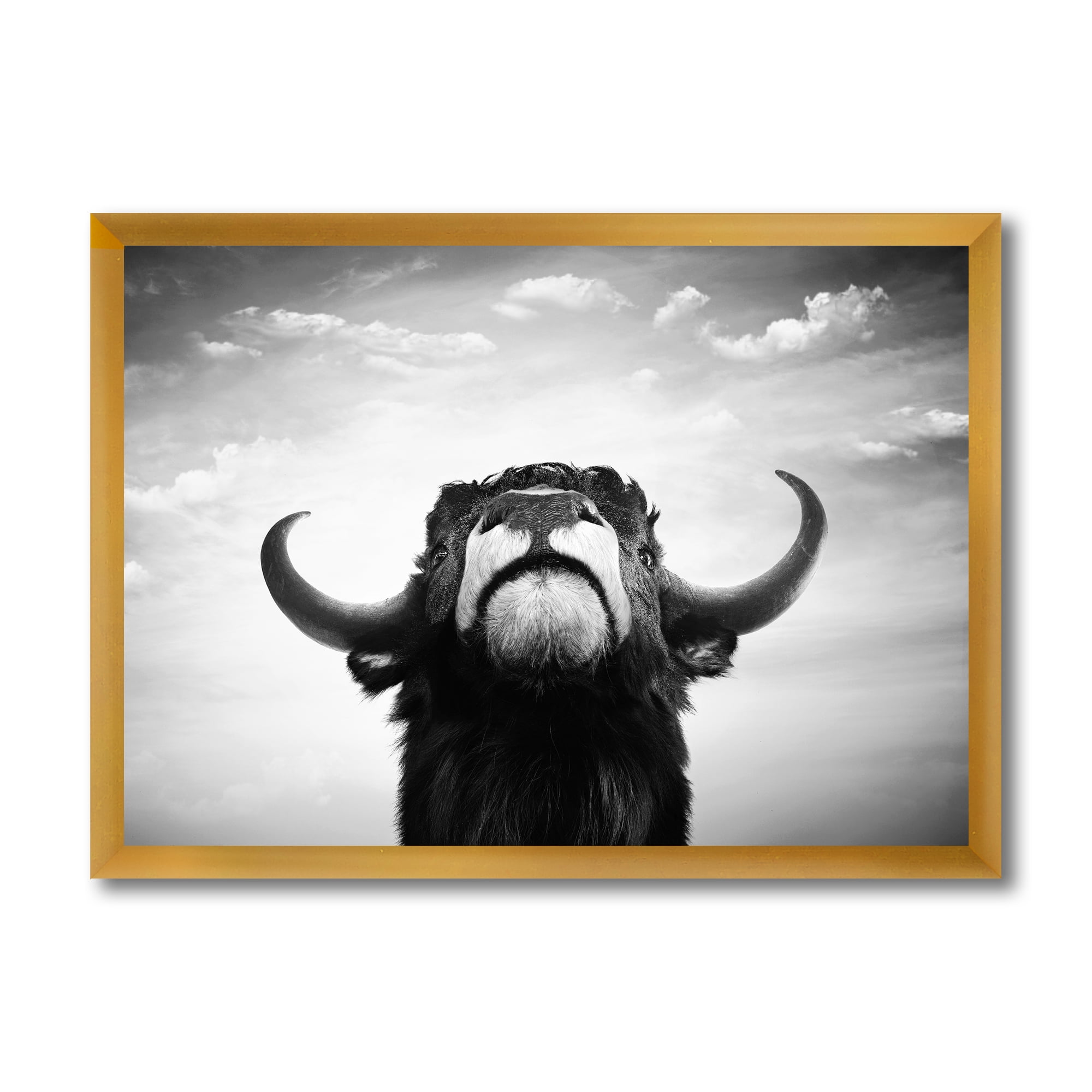 Designart 'Black and White Portrait Of A Spanish Bull I' Farmhouse Framed Art Print