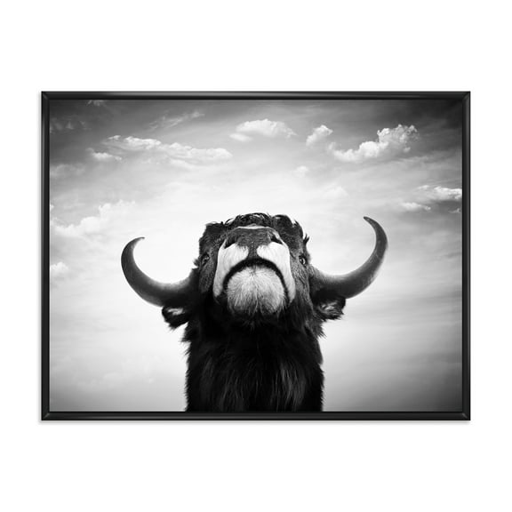 Designart 'Black and White Portrait Of A Spanish Bull I' Farmhouse Framed Canvas Wall Art Print