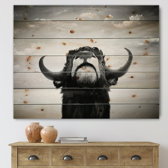 Designart 'Black and White Portrait Of A Spanish Bull I' Farmhouse Print on Natural Pine Wood