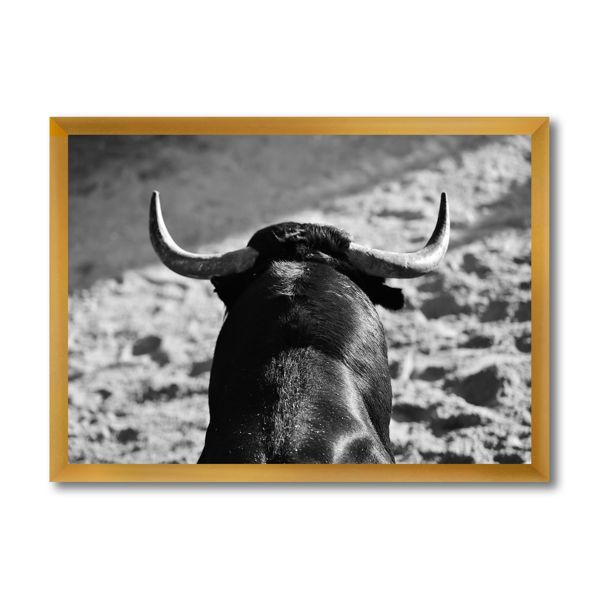Designart 'Black and White Portrait Of A Spanish Bull II' Farmhouse Framed Art Print