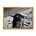 thumbnail image 1 of Designart 'Black and White Portrait Of A Spanish Bull II' Farmhouse Framed Art Print, 1 of 4