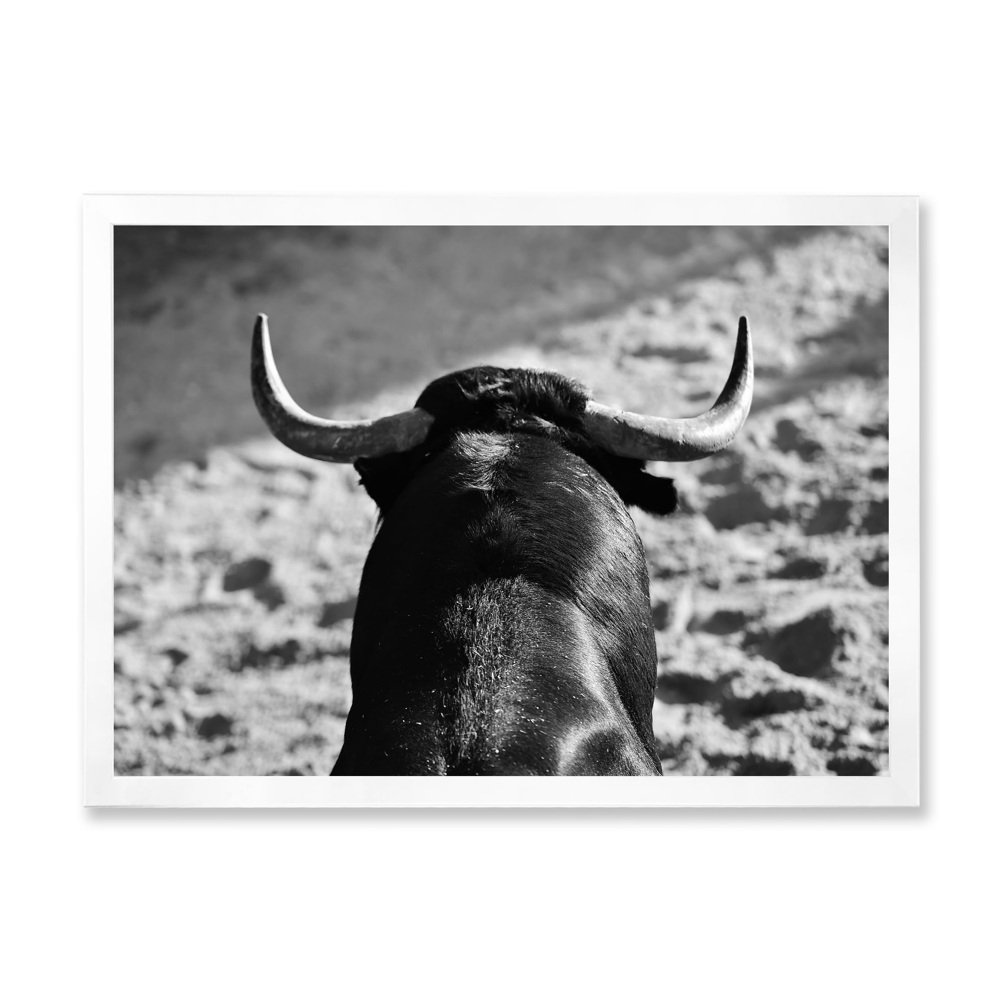 Designart 'Black and White Portrait Of A Spanish Bull II' Farmhouse Framed Art Print