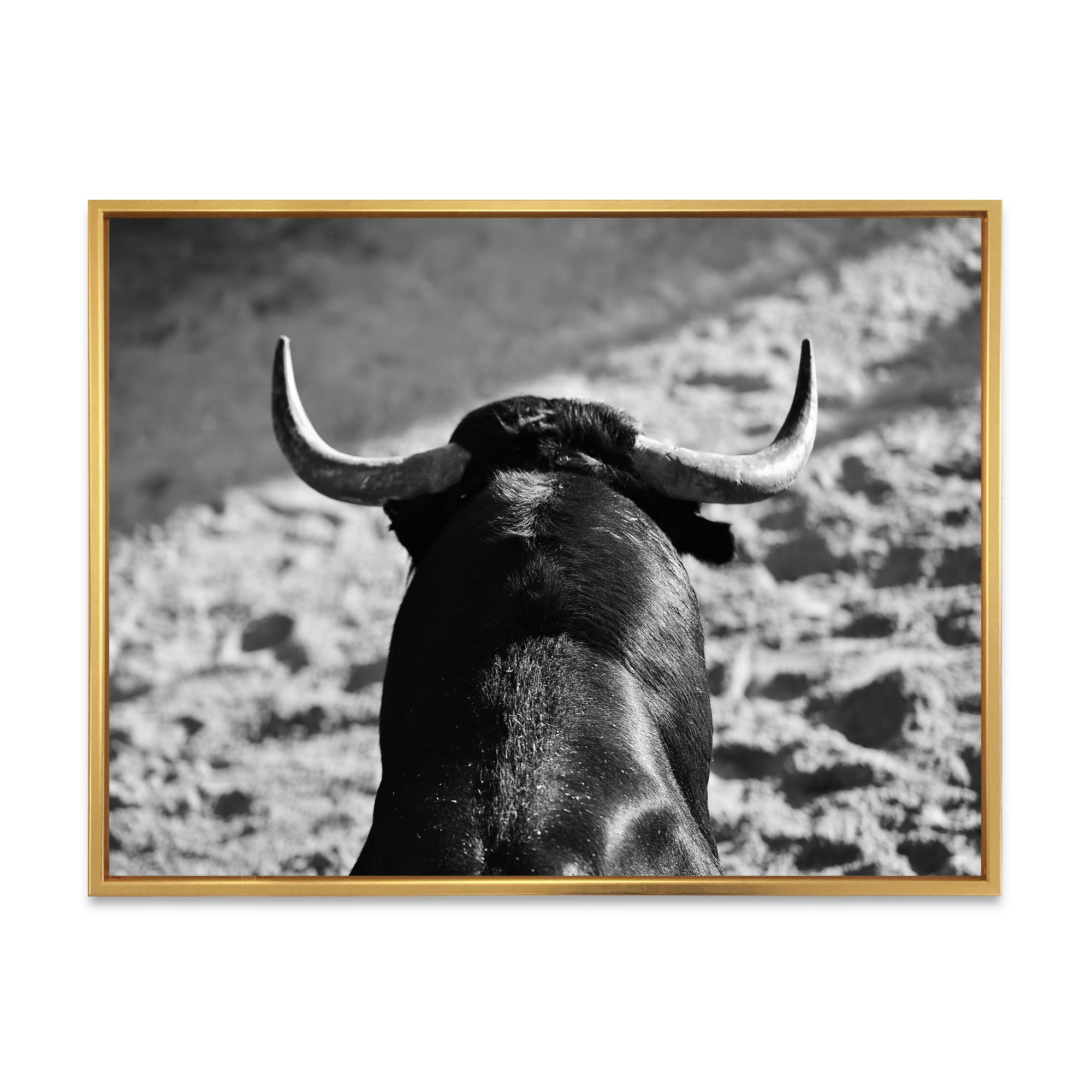 Designart 'Black and White Portrait Of A Spanish Bull II' Farmhouse Framed Canvas Wall Art Print