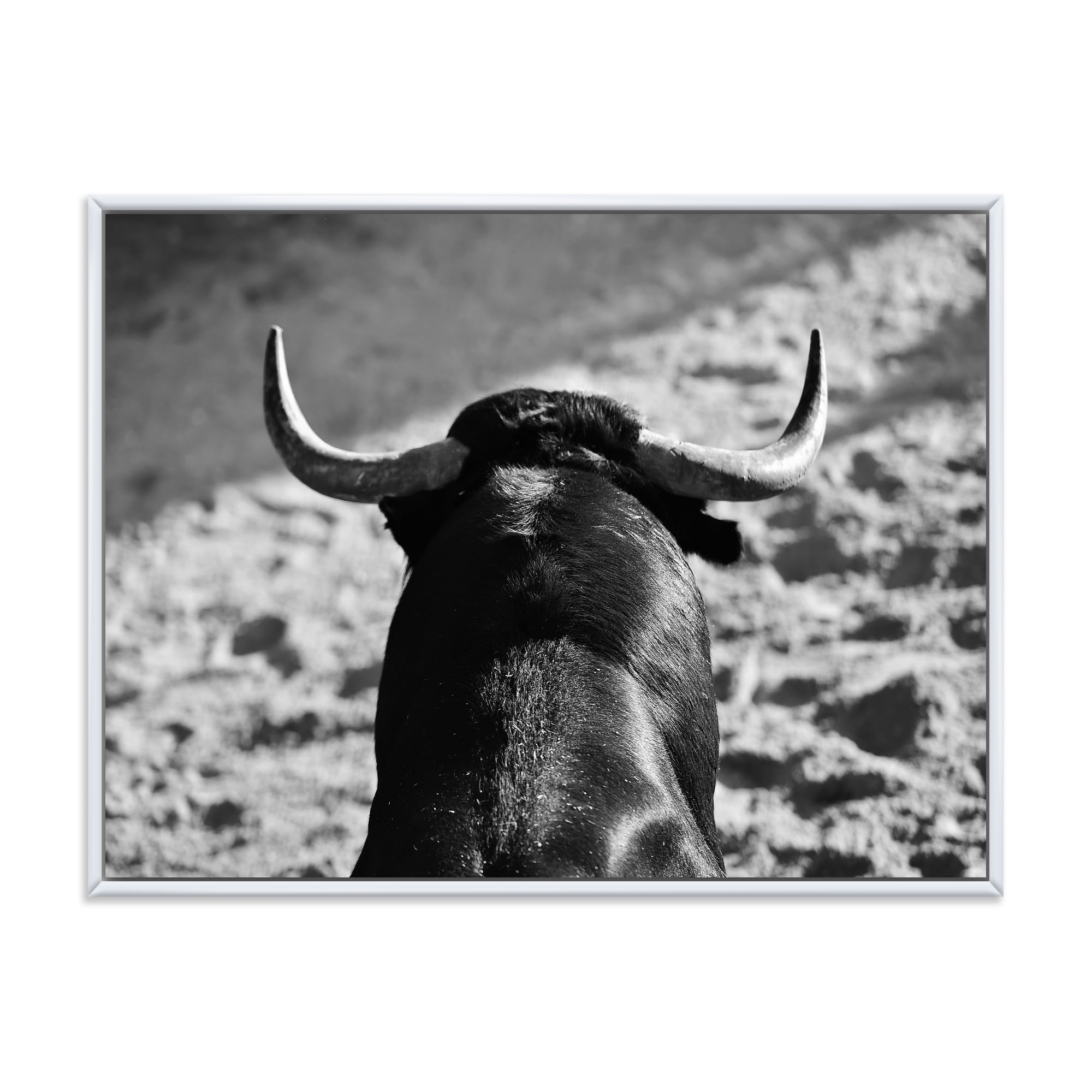 Designart 'Black and White Portrait Of A Spanish Bull II' Farmhouse Framed Canvas Wall Art Print