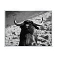 thumbnail image 1 of Designart 'Black and White Portrait Of A Spanish Bull II' Farmhouse Framed Canvas Wall Art Print, 1 of 5