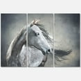 thumbnail image 1 of Designart ' Black and White Portrait Of A Wild Horse ' Farmhouse Canvas Wall Art Print, 1 of 3