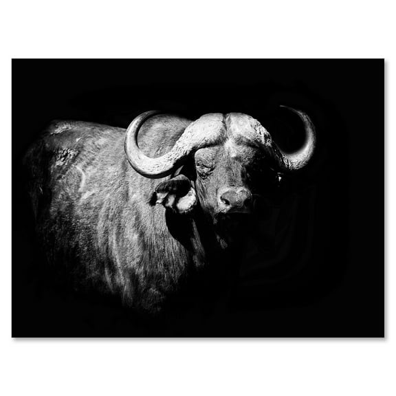 Designart ' Black and White Portrait Of Buffalo I ' Farmhouse Canvas Wall Art Print