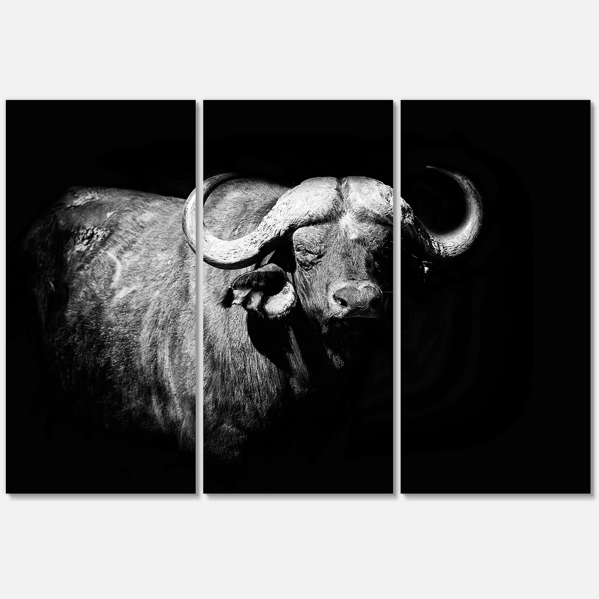 Designart ' Black and White Portrait Of Buffalo I ' Farmhouse Canvas Wall Art Print