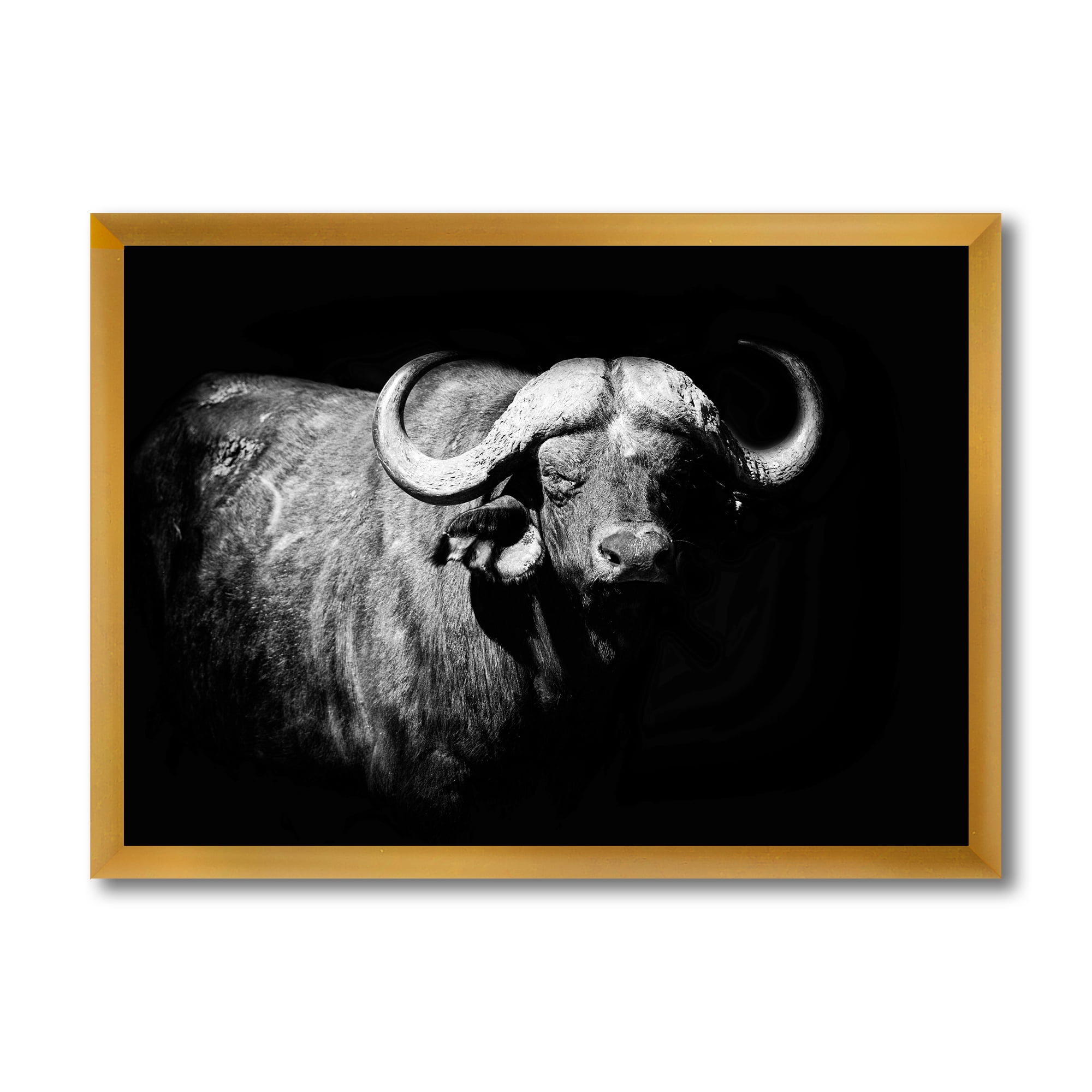 Designart 'Black and White Portrait Of Buffalo I' Farmhouse Framed Art Print