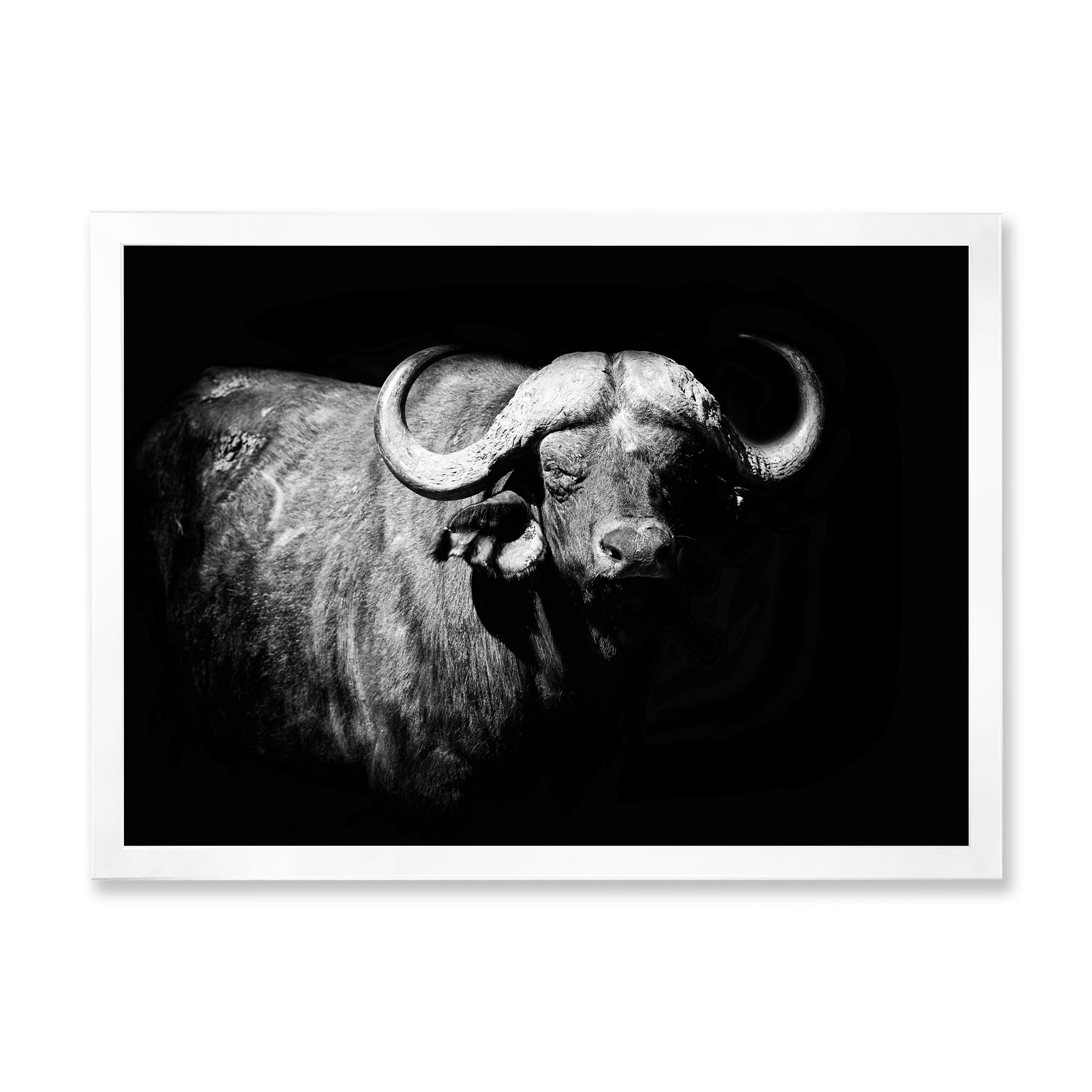 Designart 'Black and White Portrait Of Buffalo I' Farmhouse Framed Art Print