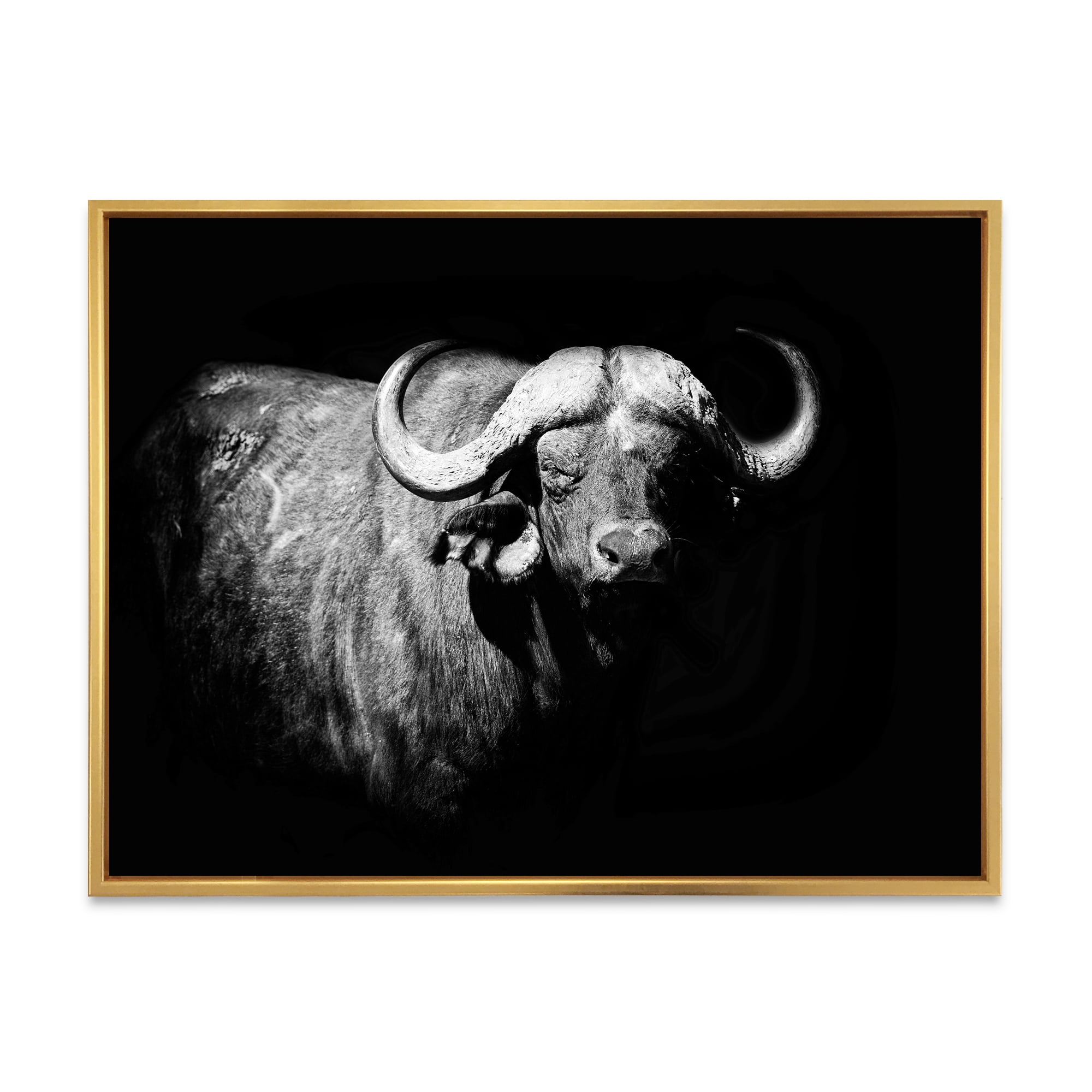 Designart 'Black and White Portrait Of Buffalo I' Farmhouse Framed Canvas Wall Art Print