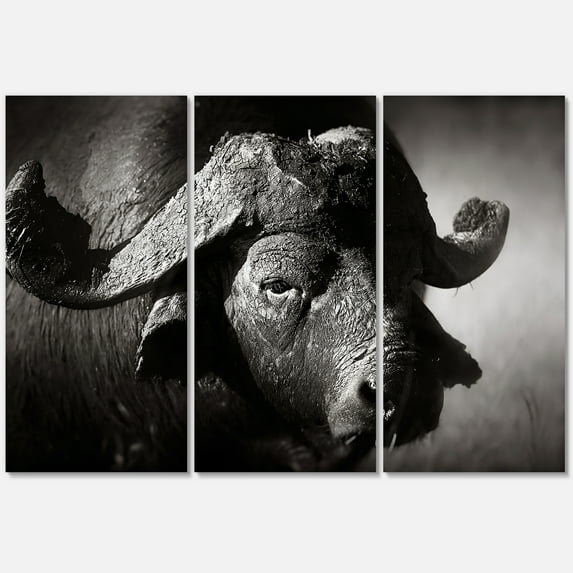 Designart ' Black and White Portrait Of Buffalo II ' Farmhouse Canvas Wall Art Print