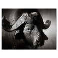 thumbnail image 1 of Designart ' Black and White Portrait Of Buffalo II ' Farmhouse Canvas Wall Art Print, 1 of 4