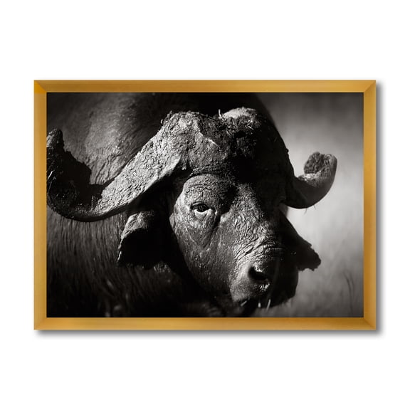 Designart 'Black and White Portrait Of Buffalo II' Farmhouse Framed Art Print