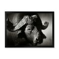 thumbnail image 1 of Designart 'Black and White Portrait Of Buffalo II' Farmhouse Framed Art Print, 1 of 4